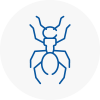 Ant Removals In Bexleyheath