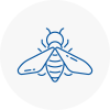 Bee Nest Removal Bexleyheath