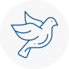 Bird Prevention Bexleyheath